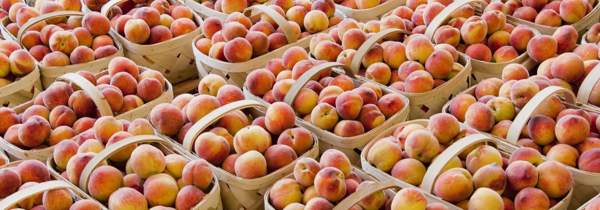 seasonal_ingredients