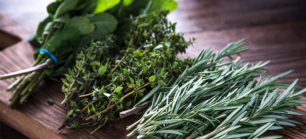 herbs fresh cooking japanese kitchen